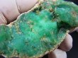 画像2: ポーランド・シュクラリ鉱山産クリソプレーズ原石 153.3g