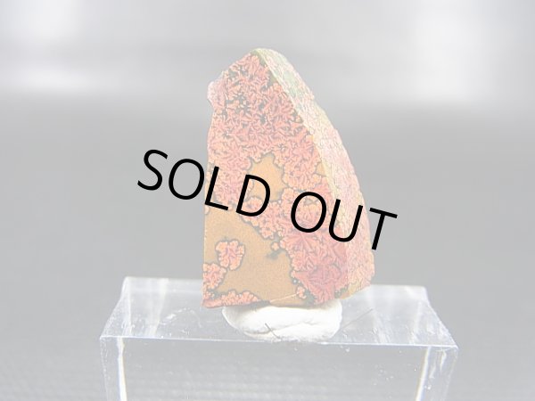 画像1: 飯盛ラボストーン（IL-stone）「レアカラー：ブラッドストーン（紅葉石）」ガラス原石 11.1カラット