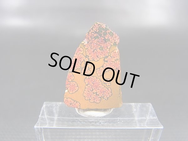 画像2: 飯盛ラボストーン（IL-stone）「レアカラー：ブラッドストーン（紅葉石）」ガラス原石 11.1カラット