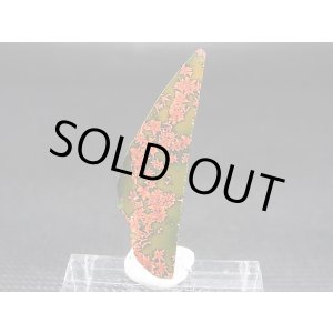 画像: 飯盛ラボストーン（IL-stone）「レアカラー：ブラッドストーン（紅葉石）」ガラス原石 17.6カラット