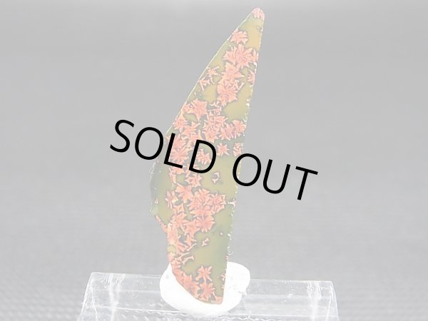 画像1: 飯盛ラボストーン（IL-stone）「レアカラー：ブラッドストーン（紅葉石）」ガラス原石 17.6カラット