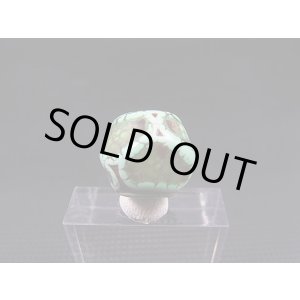 画像: ヴィンテージ:「雪域天珠:老緑色亀甲」西蔵(チベット)天珠 直径約15×13mm