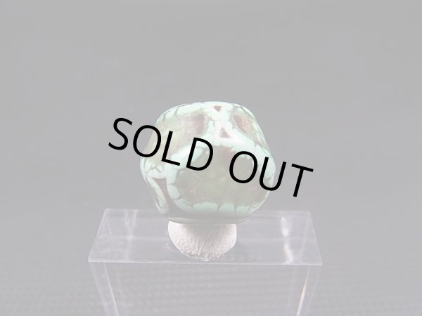 画像1: ヴィンテージ：「雪域天珠：老緑色亀甲」西蔵（チベット）天珠 直径約15×13mm