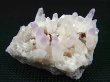 画像2: 栃木県富井鉱山産紫水晶(アメジスト)クラスター 49.1g