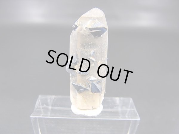 画像1: ノルウェー産ライトスモーキー水晶（ブルーアナテース付き） 3.4g