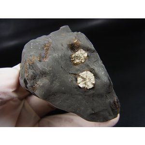画像: 群馬県産桜石(アイオライト仮晶)原石 129.1g