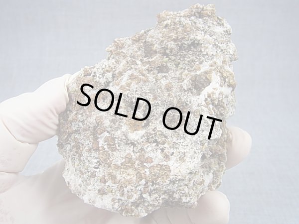 画像1: 秩父鉱山産グロッシュラーガーネット原石 229.3g