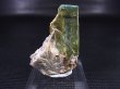 画像1: スウェーデン産グリーンエルバイトトルマリン原石 24.1g