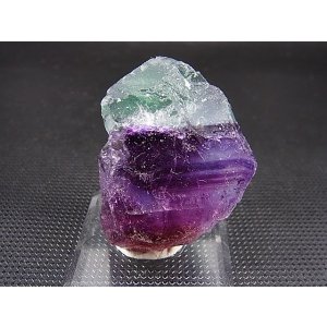 画像: 内モンゴル自治区Yindu産バイカラーフローライト(グリーン&パープル)原石 58.2g