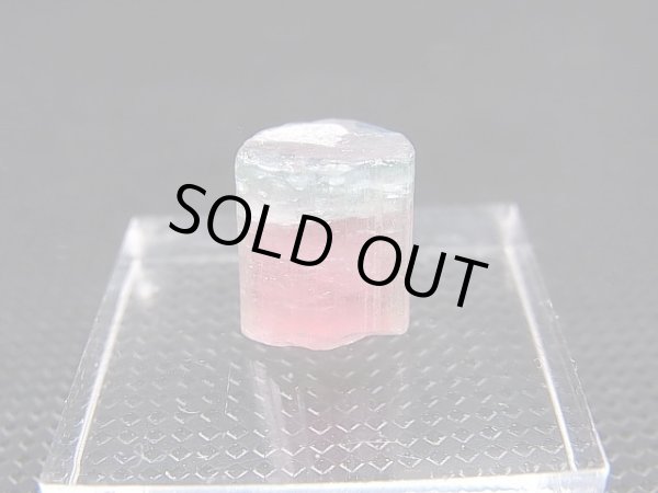 画像1: アフガニスタン産バイカラートルマリン柱状結晶（ピンク/ブルーグリーン） 14.6カラット