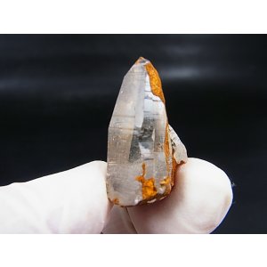 画像: ガネーシュヒマール・ラパ産ゴールデンヒーラー水晶ポイント（テッシンハビット型） 8.0g