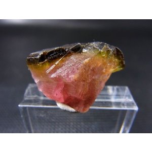 画像: ベトナムBac Kan産バイカラートルマリン原石 18.9カラット