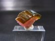 画像2: ベトナムBac Kan産バイカラートルマリン原石 18.9カラット
