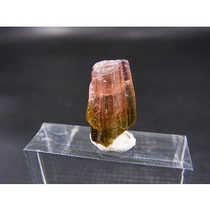 画像: ベトナムBac Kan産バイカラートルマリン原石 4.9カラット