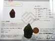 画像2: ジュエリー品質：チェコ産モルダバイトSA原石（国内鑑別書付き） 9.1ｇ