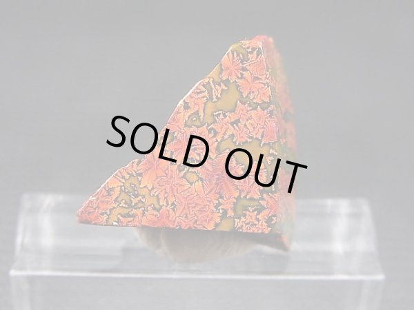 画像1: 飯盛ラボストーン（IL-stone）「レアカラー：ブラッドストーン（紅葉石）」ガラス原石 11.3カラット