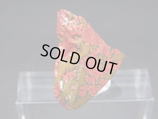 画像2: 飯盛ラボストーン（IL-stone）「レアカラー：ブラッドストーン（紅葉石）」ガラス原石 11.3カラット