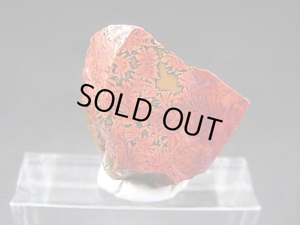 画像2: 飯盛ラボストーン（IL-stone）「レアカラー：ブラッドストーン（紅葉石）」ガラス原石 14.5カラット