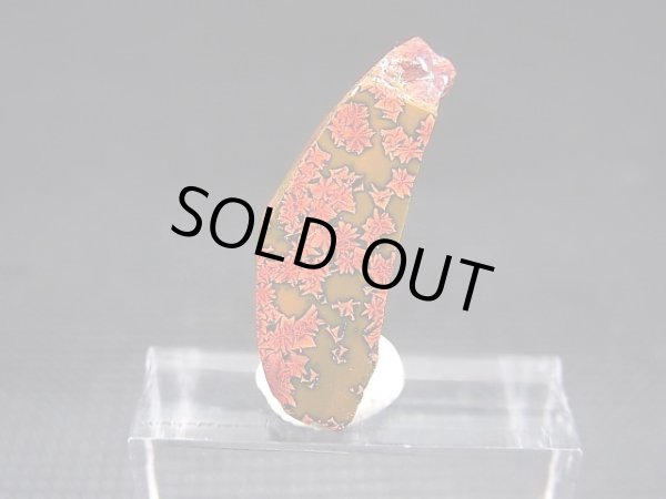 画像1: 飯盛ラボストーン（IL-stone）「レアカラー：ブラッドストーン（紅葉石）」ガラス原石 13.4カラット