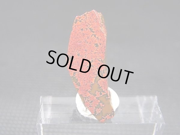 画像2: 飯盛ラボストーン（IL-stone）「レアカラー：ブラッドストーン（紅葉石）」ガラス原石 13.4カラット