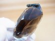 画像1: マラウイ・ムランジェ産クリアスモーキー水晶（エジリン貫入り） 16.5g