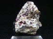 画像1: スウェーデン産スペサルティンガーネット 45.0g