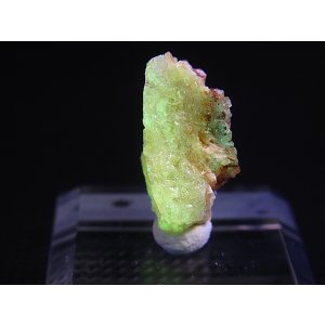 画像: Hokkaidoite北海道然別湖産蛍光オパール原石 1.6g