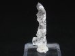 画像1: マダガスカル産グロースインターフェレンスＤＴ蝕像水晶 2.0g
