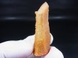 画像1: 南アフリカ産フェアリークオーツ 13.0g