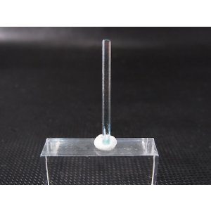 画像: ジェムグレード宝石需要品質：ベトナム産アクアマリン柱状結晶原石 0.9カラット