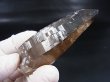 画像2: タンザニア産モンドクオーツ・テッシンハビット型スモーキー水晶ポイント 65.9g
