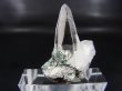 画像1: ガネーシュヒマール・ラパ産ウォータークリア水晶ポイント（テッシンハビット型） 7.0g
