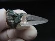 画像2: ガネーシュヒマール・ラパ産ウォータークリア水晶ポイント（テッシンハビット型） 7.0g