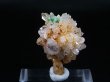 画像1: スペイン・カンタブリア州産産水晶/マラカイト原石 13.1g
