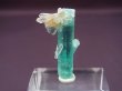 画像2: ナイジェリア産アクアマリン柱状結晶（貫入り/水晶共生） 11.6カラット