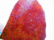 画像2: 飯盛ラボストーン（IL-stone）「超レア：シラー入りアースカラー（紅葉石）」ガラス原石（片面研磨） 21.8カラット