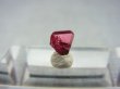 画像1: 田口鉱山産パイロクスマンガン 0.5カラット
