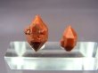 画像1: スペイン・バレンシア産赤鉄水晶（クオルゾ・ロホ） 2点セット トータル 1.4g