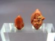 画像2: スペイン・バレンシア産赤鉄水晶（クオルゾ・ロホ） 2点セット トータル 1.4g