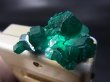 画像2: コンゴ産ダイオプテーズ原石（大粒結晶） 4.5g