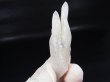 画像2: 福島県南会津郡産紫水晶(アメジスト)ダブルポイント 16.9g