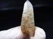 画像1: 山梨県水晶峠産トレモライト入り水晶ポイント 8.9g