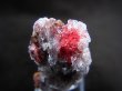 画像2: スペイン・カンタブリア州産シナバー/水晶原石 6.8g