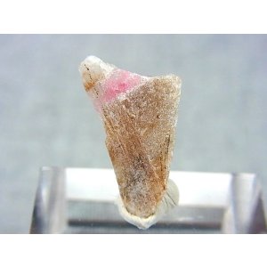 画像: ツグツパイト(タグトゥパイト)原石 1.1g