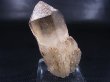 画像2: スウェーデン・ラップランド産キャンドルスモーキー水晶 57.7g