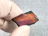 画像: フィンランド・ユレマー産スペクトロライト（パープルヴィオラミックス）研磨スライス 3.8g