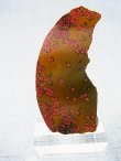 画像1: 飯盛ラボストーン（IL-stone）「レアカラー：ブラッドストーン（紅葉石）」ガラス原石（片面研磨） 64.6カラット