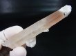 画像1: 内モンゴル産アイアンローズ付きピンク水晶（貫入り/レーザー型） 36.0g
