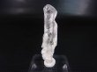画像1: マダガスカル産グロースインターフェレンスＤＴ蝕像水晶 4.6g