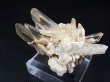 画像1: インド・マニカラン産クリア水晶クラスター（ソリューション型） 33.3g